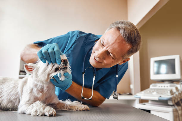 Best Emergency Treatment for Dental Infections or Abscesses in Henderson, NC